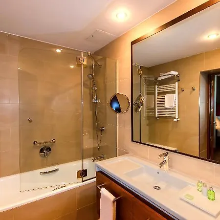 Hotel Nh Poznan